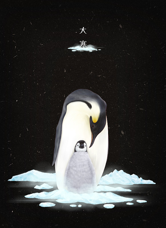 24节气大寒-企鹅图片素材