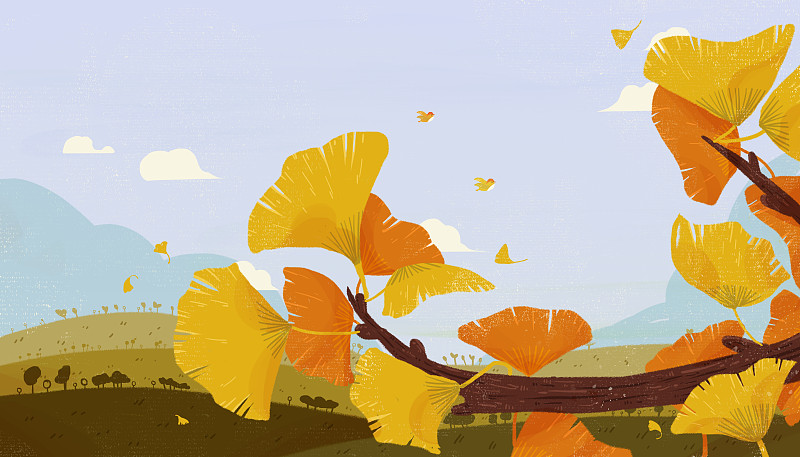 秋冬的银杏叶子插画场景图片