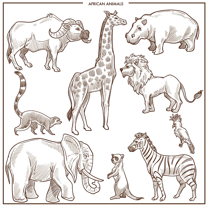 非洲动物简笔画图片