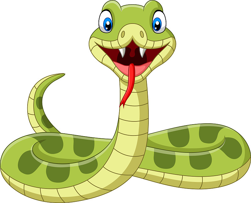 可爱的绿色蛇卡通在白色的背景图片