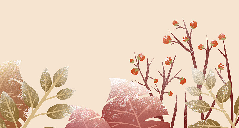 秋冬结霜的植物插画元素下载