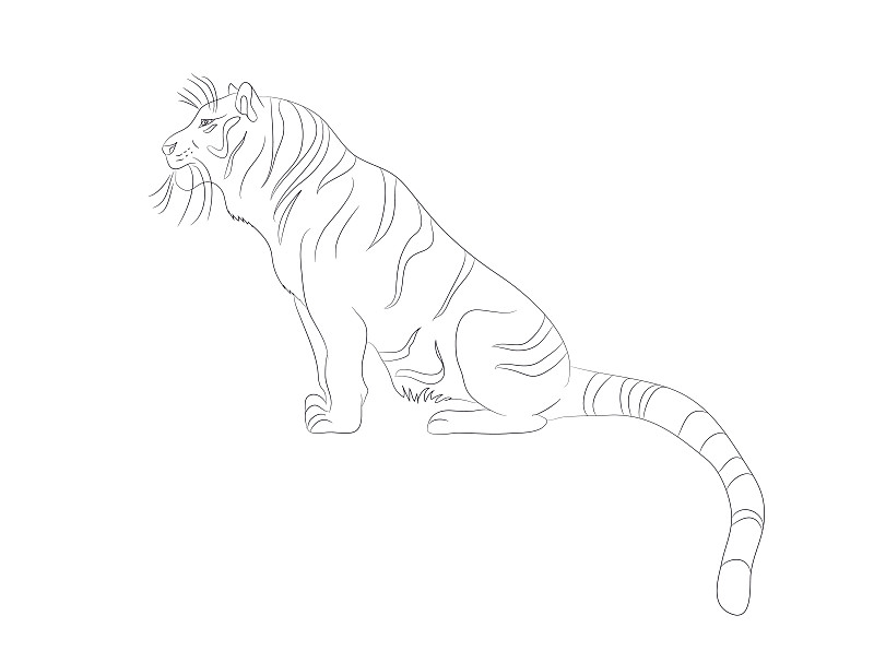 怎么画坐着的老虎图片