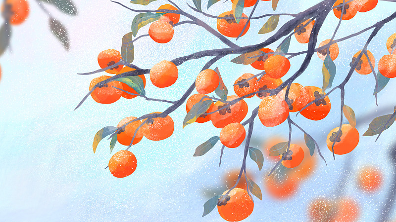 秋天枝头挂满柿子的柿子树霜降节气手绘插画下载