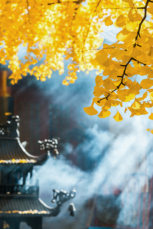 北京怀柔红螺寺秋色自然风光图片素材