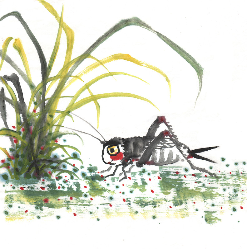 中国画水墨插画-草地上的蟋蟀图片