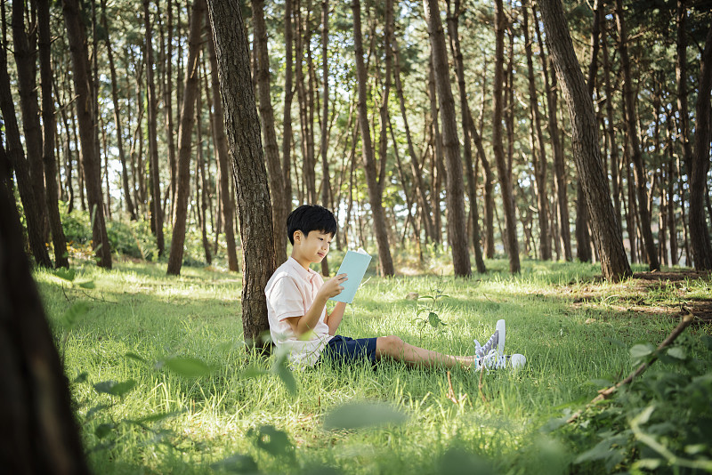 小男孩在森林里靠在树上看书的照片摄影图片