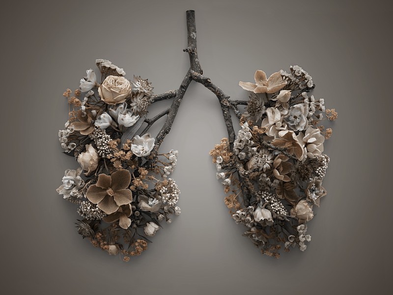 春天的花朵代表人的肺图片下载