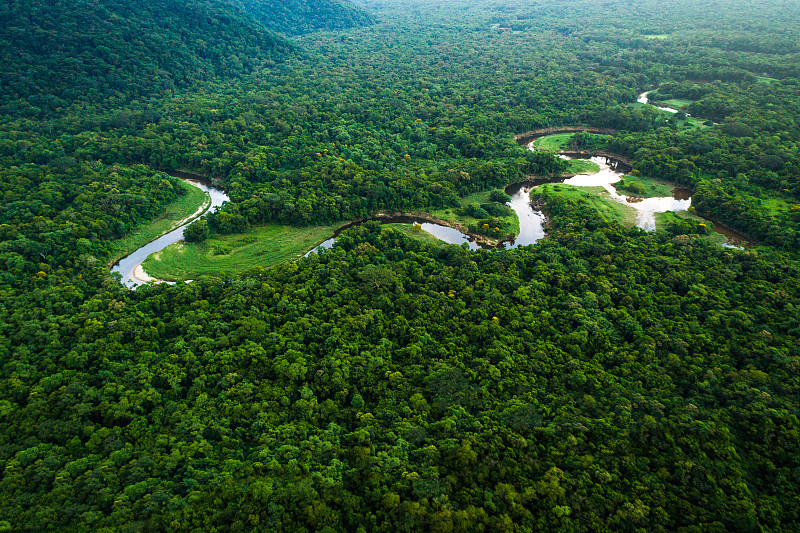 巴西的大西洋森林，玛塔亚特兰提卡图片下载