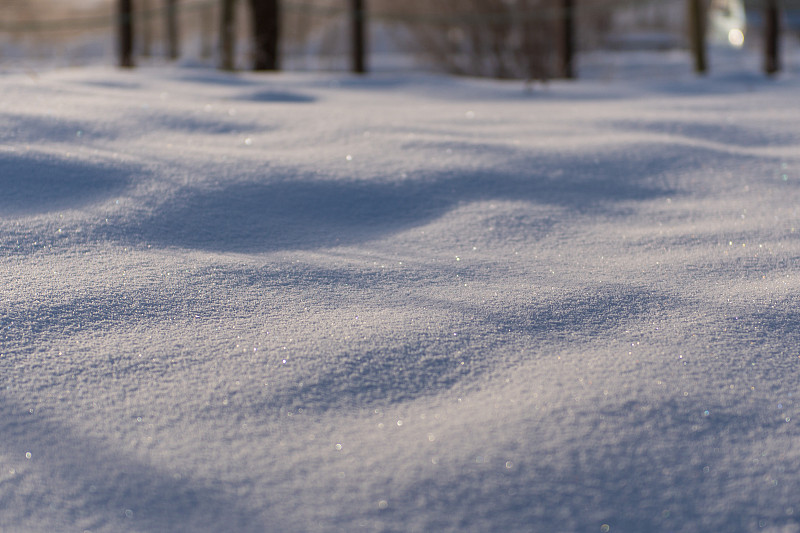 雪的早晨图片下载