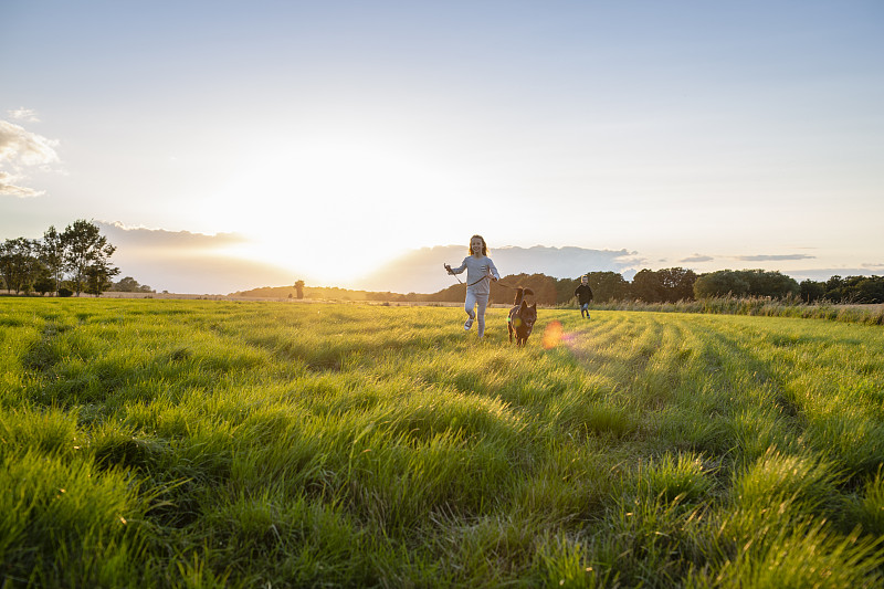 两个孩子和一只狗在日落时跑过田野图片素材
