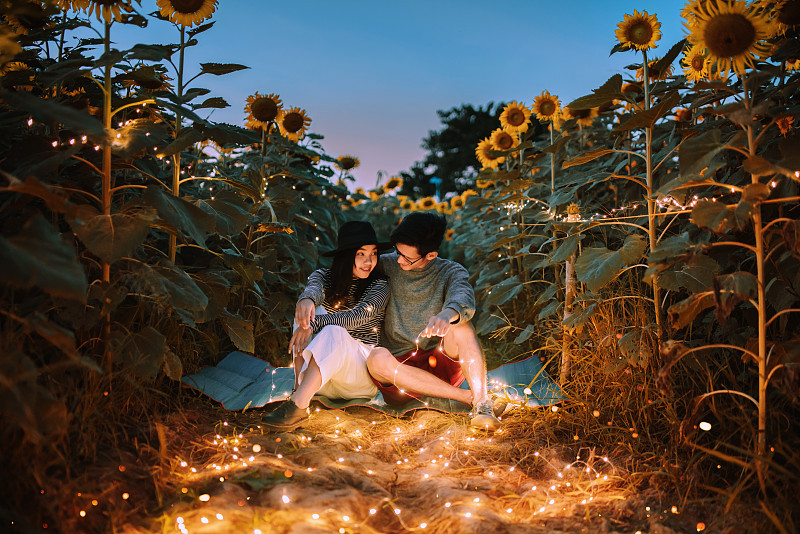 一对夫妇坐在发光的向日葵地里图片下载