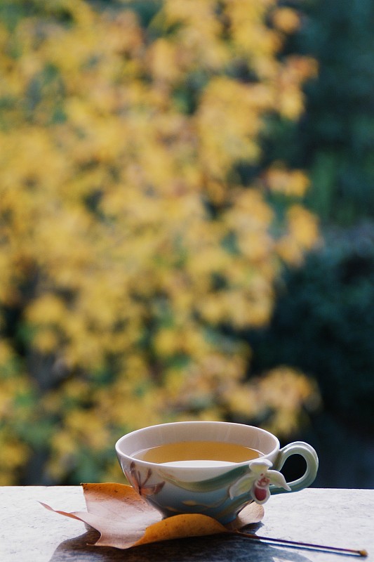 窗景:一杯乌龙茶和秋叶。图片下载