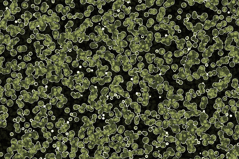 细菌细胞形态:球菌，杆菌，螺旋体细菌图片下载
