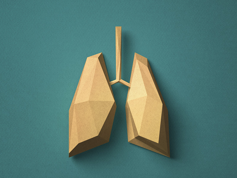纸工艺肺图片下载