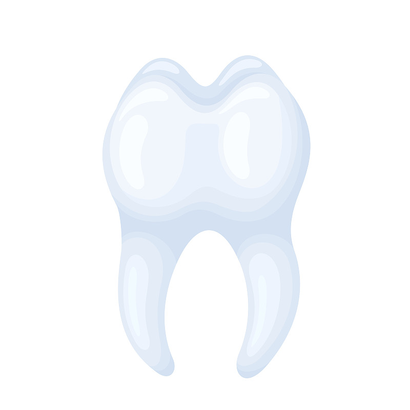 Molar tooth图片素材