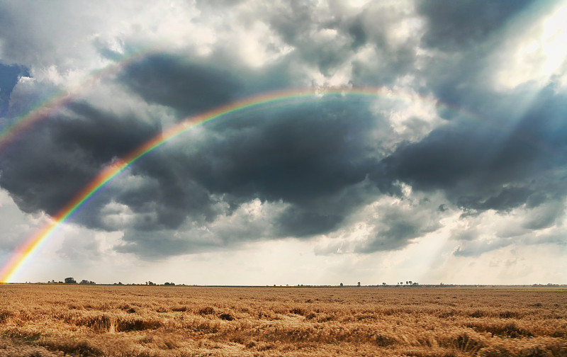 波兰农村玉米地里的彩虹图片下载