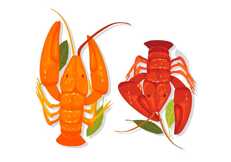 海鲜。橙色和红色的小龙虾、小龙虾、小龙虾都带着月桂叶图片下载