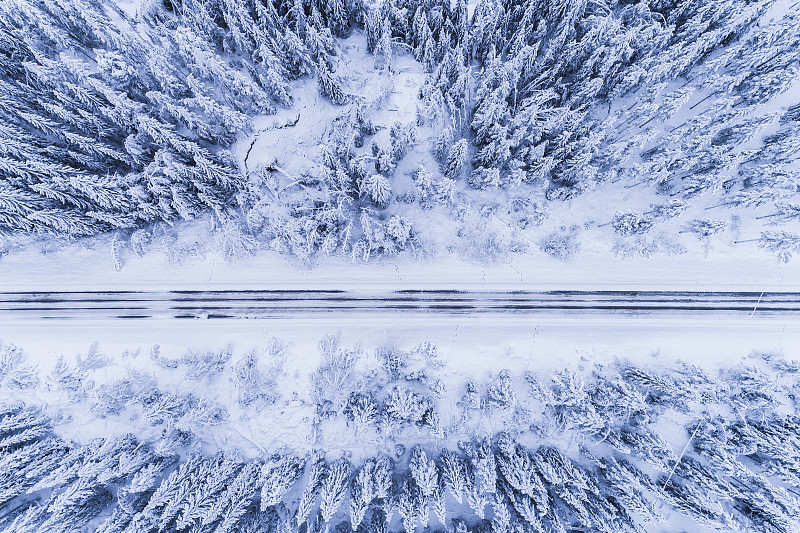 穿越森林的冬季道路图片素材