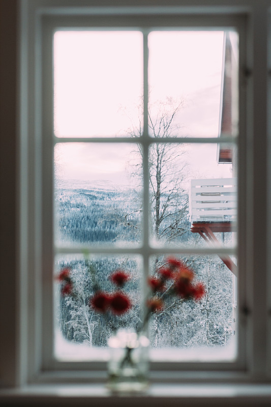 冬天透过窗户看森林图片下载