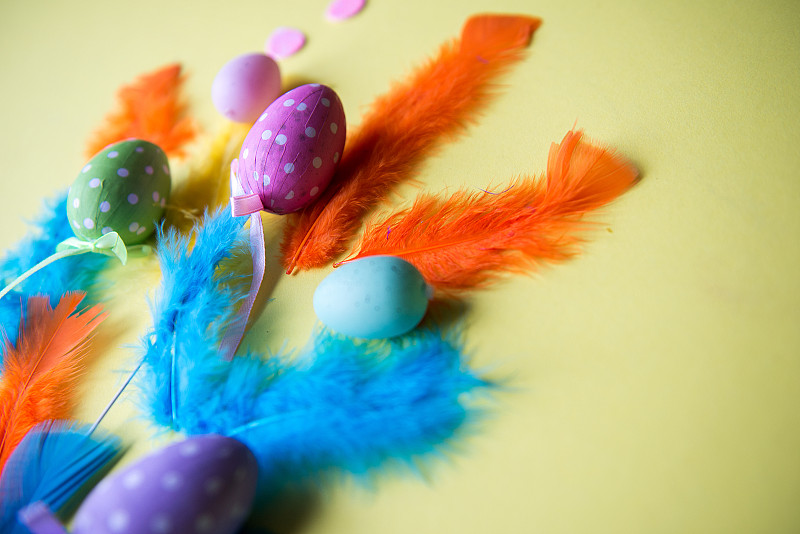有羽毛和彩色背景装饰的复活节彩蛋图片素材