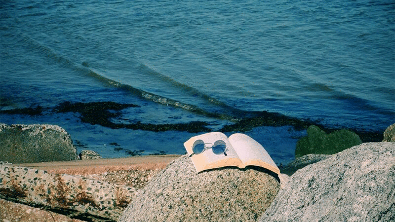 打开书和太阳镜在大岩石与温和的海浪拍打海岸的背景插画下载