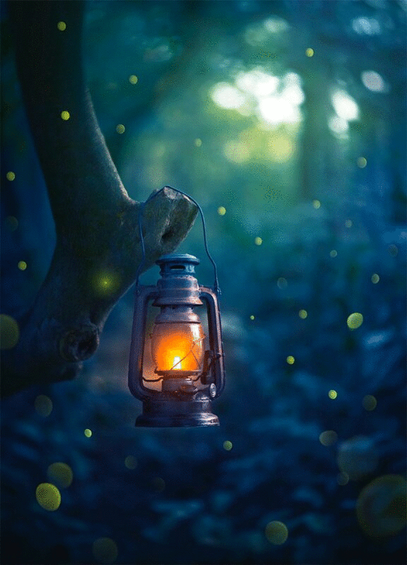 夜间森林中的萤火虫和油灯插画下载