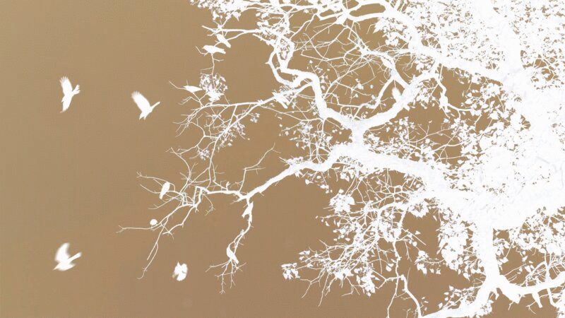 鸟群飞离树枝的低角度x射线效果插画下载