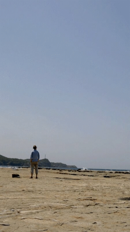 一个人站在海滩上望着大海，而鸟儿在头顶飞过图片下载