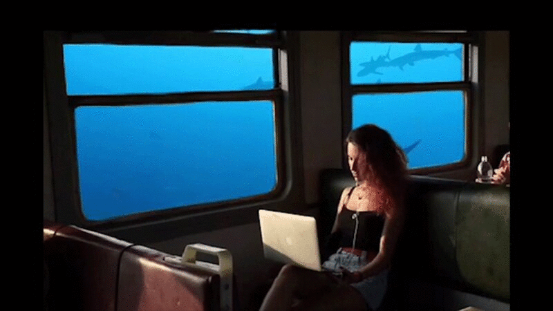 一个女人在火车上用笔记本电脑看窗外的水族馆图片下载