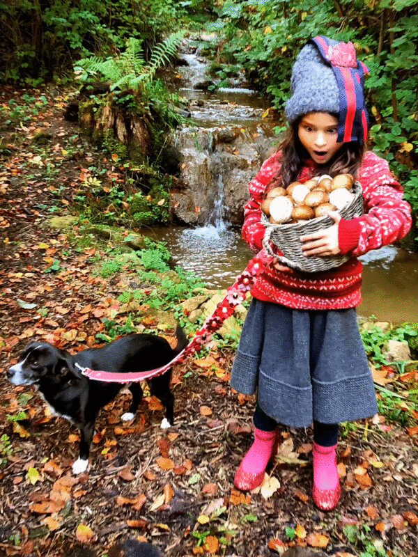 神奇的小女孩拿着一篮子神奇的蘑菇图片下载