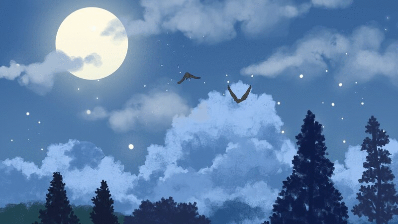 月夜下的飞鸟插画下载