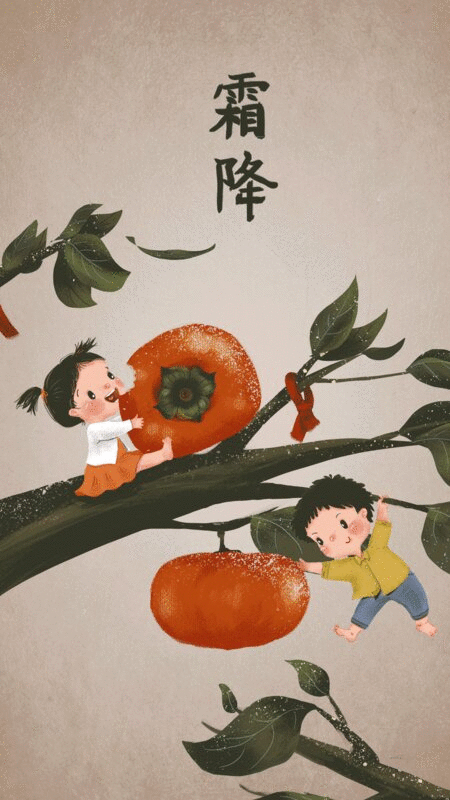 霜降两个孩子在柿子树上玩耍图片下载