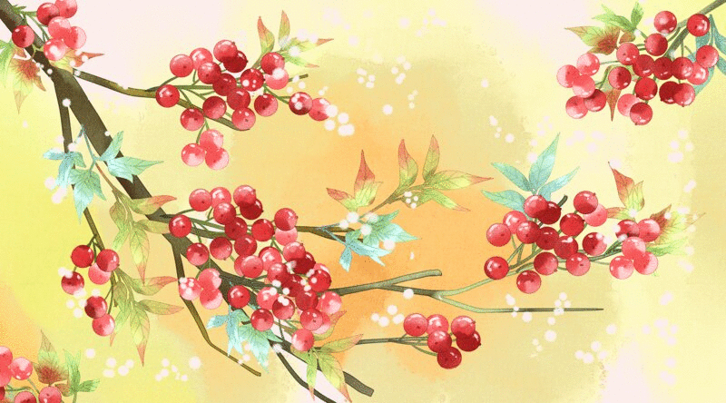 水彩风格植物红浆果插画动图图片下载