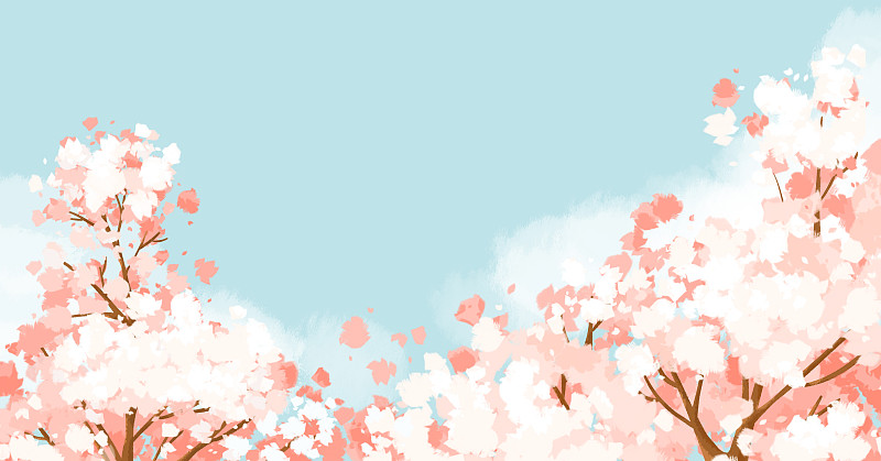 蓝天春季樱花空白背景图片下载