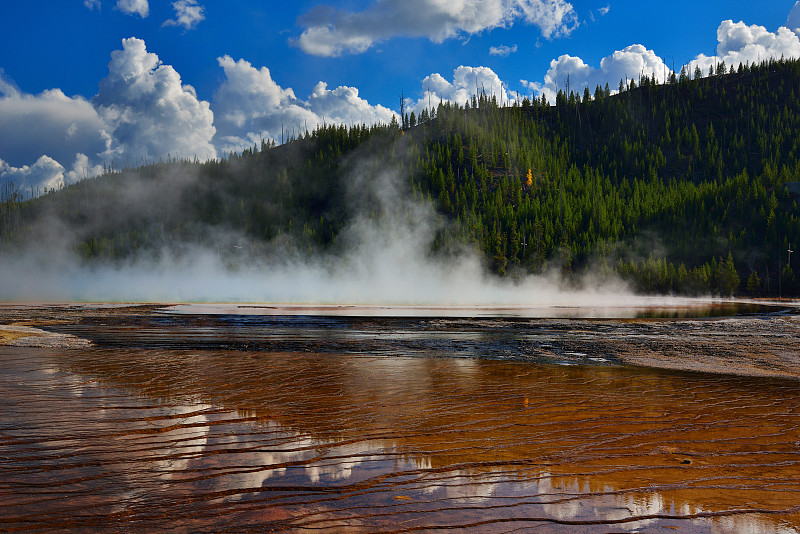 温泉和森林上方蒸汽景观，黄石国家公园，蒙大拿，美国图片素材