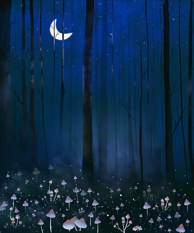夜晚神秘的森林图片素材