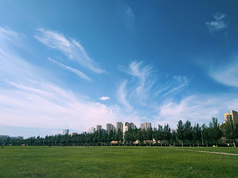 翠绿的草坪与蔚蓝的天空是清淡且惬意的色系图片下载