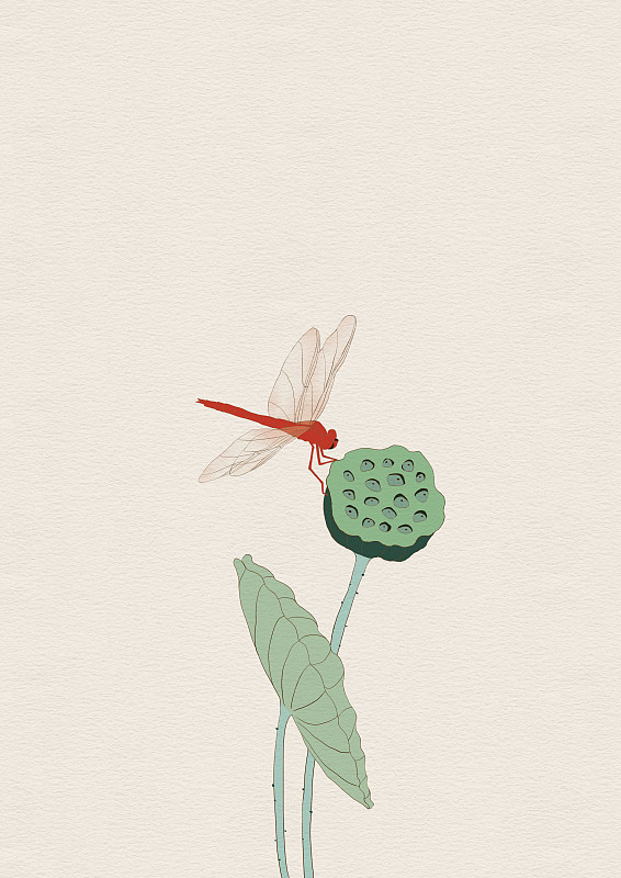 禅.蜻蜓—暗把红衣换素罗，蜻蜓依旧恋圆荷图片下载