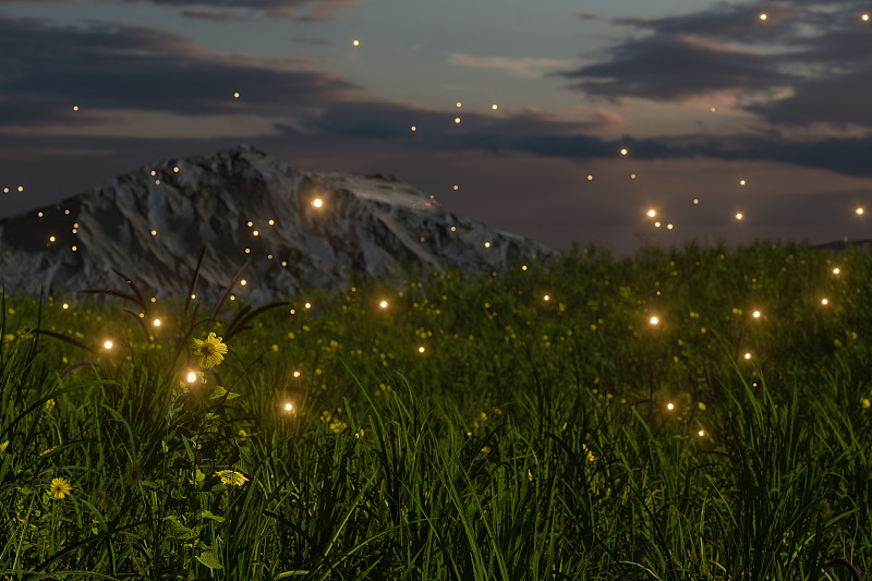 草丛里的萤火虫 3D渲染图片素材