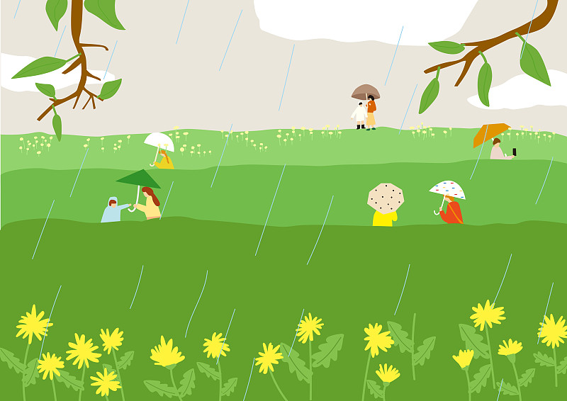 春天，雨，天气，公园，树，草图片素材
