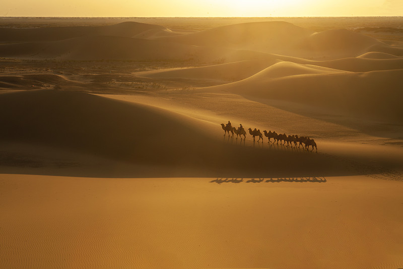 阳光沙漠驼队图片下载