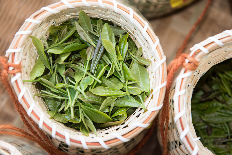 茶篓装的新鲜的绿茶茶叶图片下载