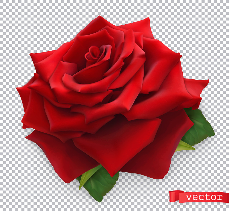 红玫瑰3d逼真的对象图片下载