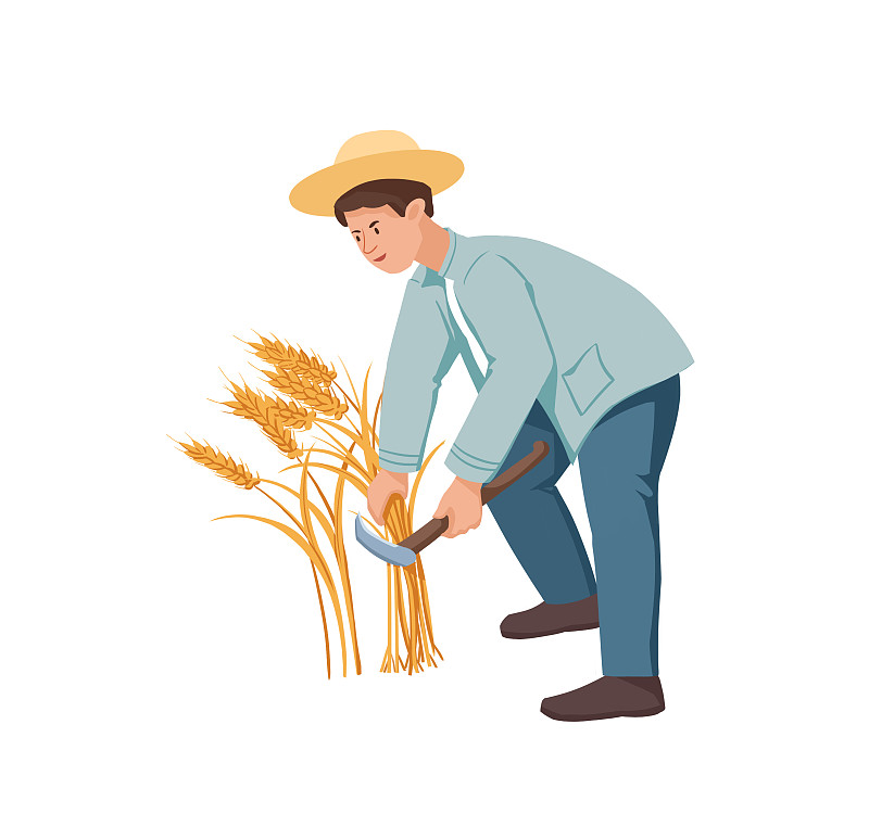 手绘卡通秋季丰收农民手工收割麦子场景插画图片