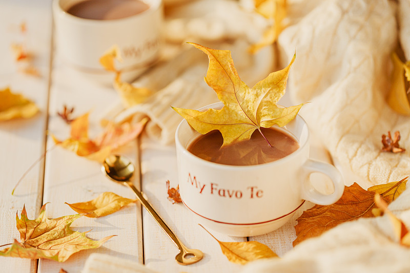 秋日午后暖茶—可可椰香奶茶图片素材