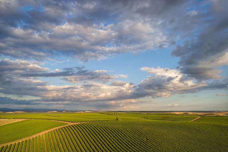 美国加利福尼亚州斯坦尼斯劳斯县，天空映衬下的农田风景图片素材