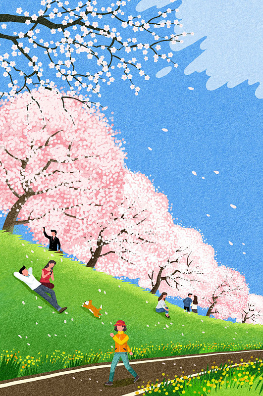 图为人们在公园的樱花树下享受时光图片素材