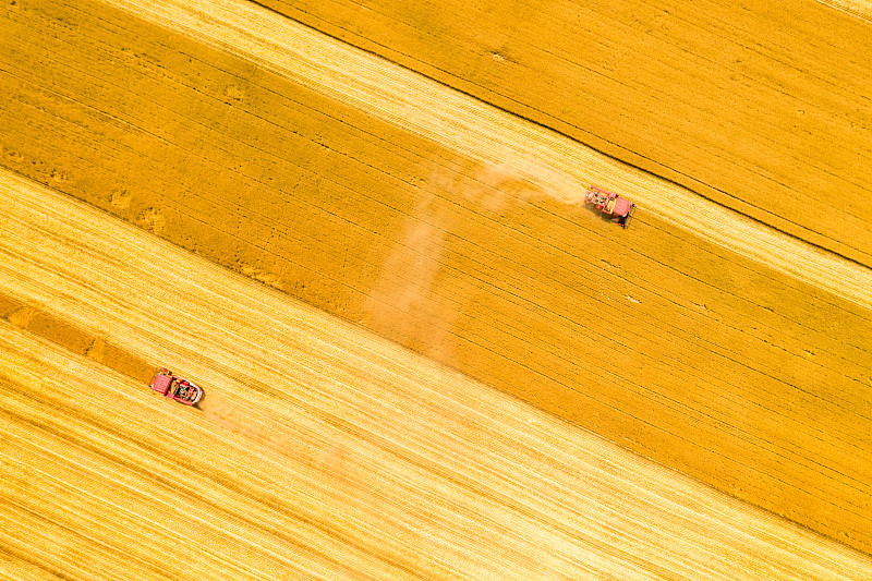夏季河南黄河边麦田成熟联合收割机收获场景航拍正上方视角图片下载