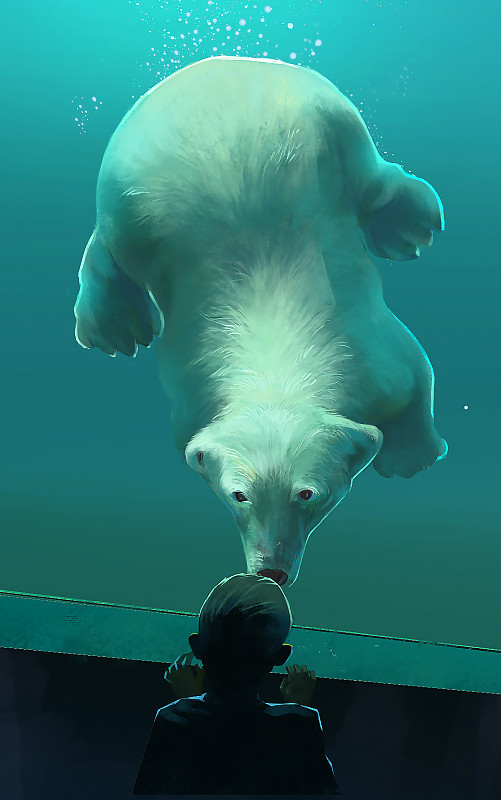 水下摄影 动物 北极熊 海洋馆图片下载
