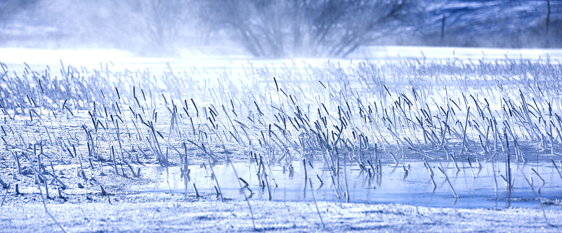 冬季冻湖景观图片下载